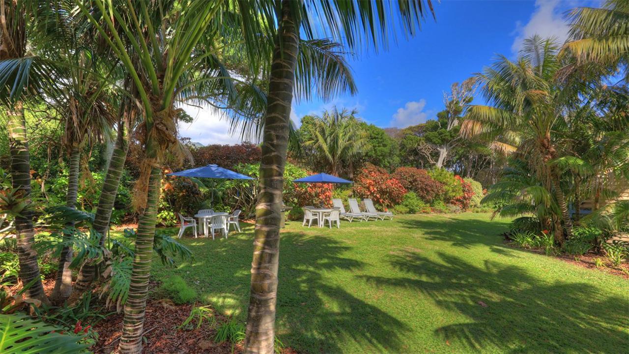 The Broken Banyan Apartment Lord Howe Island Екстериор снимка